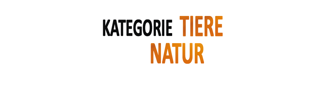 Tiere Natur